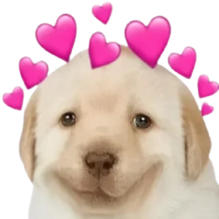 😍 emoji Стикеры 👉 @stickerpackstgs Telegram sticker 22 of 103