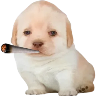 🤯 emoji Стикеры 👉 @stickerpackstgs Telegram sticker 20 of 103