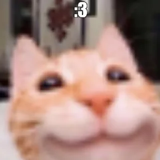 😃 emoji Котики заходите: https://t.me/kotikinsy Telegram sticker 6 of 45