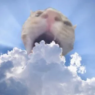 😋 emoji Котики заходите: https://t.me/kotikinsy Telegram sticker 22 of 45
