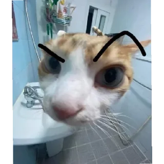 🤨 emoji Котики заходите: https://t.me/kotikinsy Telegram sticker 2 of 45