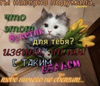 🎁 emoji Больше стиков тут: @stikery4 Telegram sticker 2 of 60