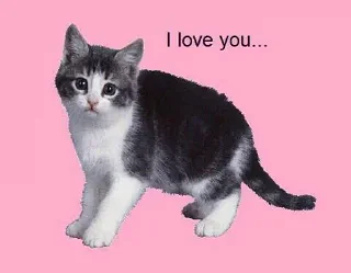 💖 emoji Больше стиков тут: @stikery4 Telegram sticker 24 of 60