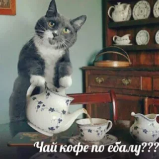 ☕️ emoji Больше стиков тут: @stikery4 Telegram sticker 16 of 60
