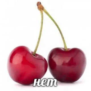 🙅‍♂️ emoji Больше стиков тут: @stikery4 Telegram sticker 8 of 87