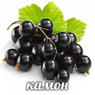 😕 emoji Больше стиков тут: @stikery4 Telegram sticker 22 of 87