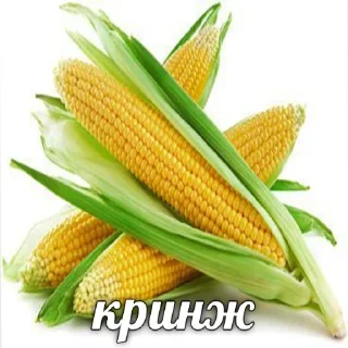 😐 emoji Больше стиков тут: @stikery4 Telegram sticker 11 of 87