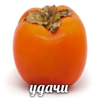 👌 emoji Больше стиков тут: @stikery4 Telegram sticker 9 of 87