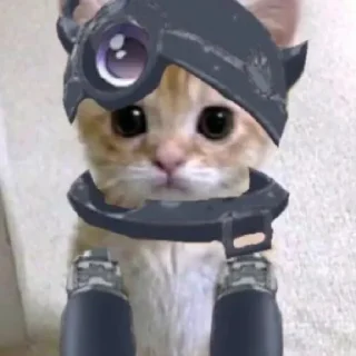 😶 emoji ригк как атдельни смисол жизне Telegram sticker 24 of 26