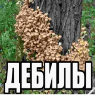 Sticker from хэлп