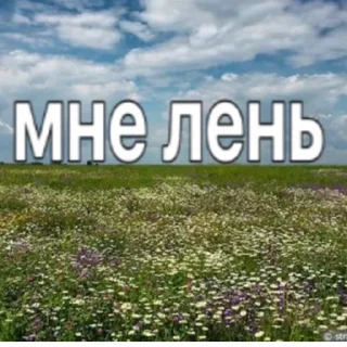 Sticker from хэлп