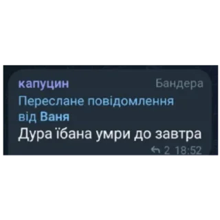 🎈 emoji Українці🇺🇦🔥 Telegram sticker 23 of 30