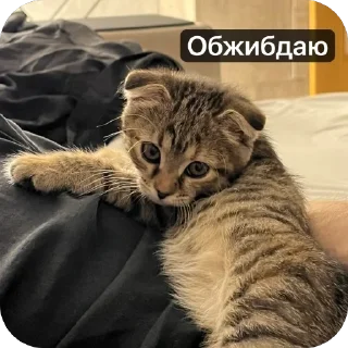 🌟 emoji Аська Telegram sticker 21 of 22