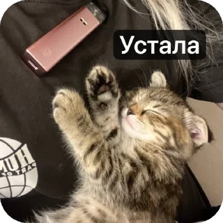 🌟 emoji Аська Telegram sticker 13 of 22