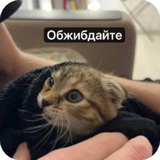 🌟 emoji Аська Telegram sticker 10 of 22