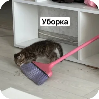 🌟 emoji Аська Telegram sticker 11 of 22