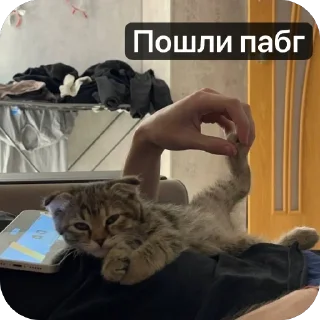 🌟 emoji Аська Telegram sticker 14 of 22