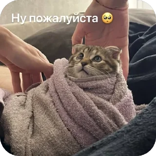 🌟 emoji Аська Telegram sticker 18 of 22