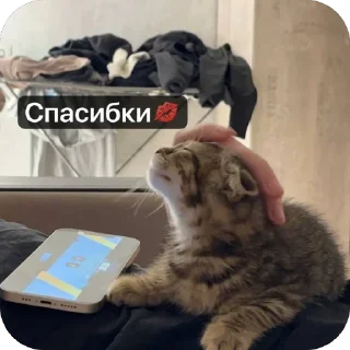 🌟 emoji Аська Telegram sticker 17 of 22