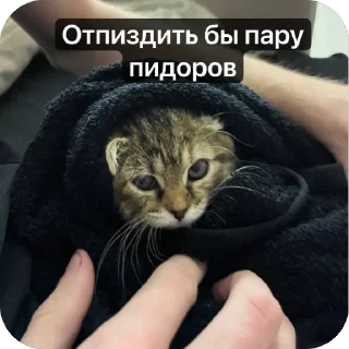 🌟 emoji Аська Telegram sticker 12 of 22