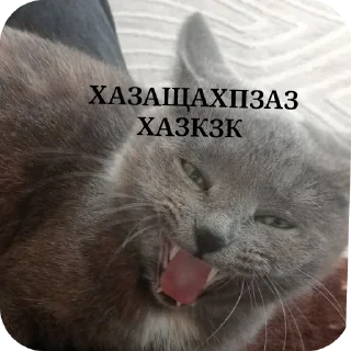 🐱 emoji Передозка ➡️ @Ctikerubot Telegram sticker 7 of 15