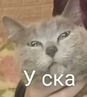 😜 emoji Передозка ➡️ @Ctikerubot Telegram sticker 1 of 15