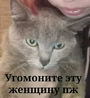 🥹 emoji Передозка ➡️ @Ctikerubot Telegram sticker 2 of 15