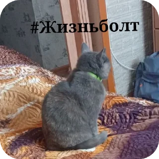 😘 emoji Передозка ➡️ @Ctikerubot Telegram sticker 13 of 15