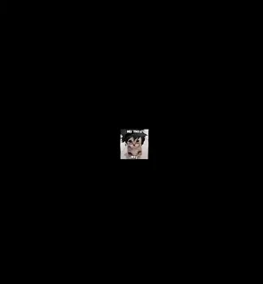 🤩 emoji последняя четверть @TgEmodziBot Telegram sticker 10 of 43