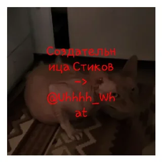 Sticker from Пространство Тварей от @Uhhhh_What