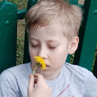 ✨ emoji Клоунада, делал лох и рукожоп:))) Telegram sticker 23 of 31
