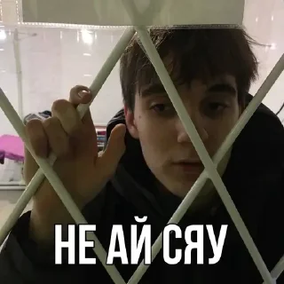 Sticker from МОСТ 💙