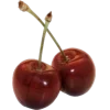 🤩 emoji mycoquettenotes @TgEmodziBot Telegram sticker 6 of 92