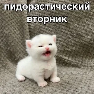❤️‍🩹 emoji ❤️‍🩹 Telegram sticker 7 of 69