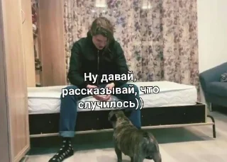 Sticker from СЕРЫЙ, ТВОЮ МАТЬ!