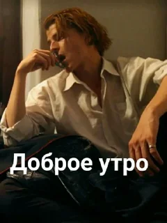 Sticker from СЕРЫЙ, ТВОЮ МАТЬ!