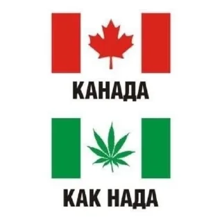 🚬 emoji ну типа для переговоров Пон да ? Telegram sticker 19 of 19