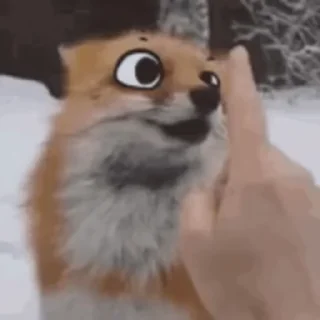 foxfull_LiS sticker 1