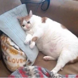 😭 emoji вкусно Telegram sticker 9 of 91