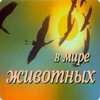 😬 emoji вкусно Telegram sticker 18 of 91