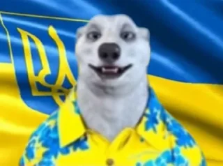 🇺🇦 emoji Ohio Telegram sticker 23 of 79