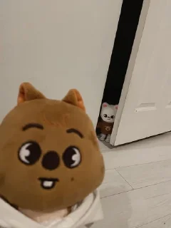 🚪 emoji Стрэи Telegram sticker 7 of 33