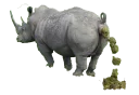 🦏 emoji Shit Telegram sticker 19 of 21