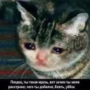 😢 emoji Shit Telegram sticker 21 of 99