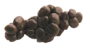 💩 emoji Shit Telegram sticker 6 of 21