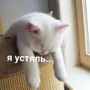 🤕 emoji Shit Telegram sticker 6 of 99