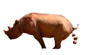 🦏 emoji Shit Telegram sticker 18 of 21