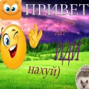 🖕 emoji Shit Telegram sticker 11 of 99