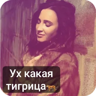 🐅 emoji Ольга бузова лучшая😘 @lolviin Telegram sticker 11 of 16