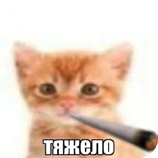 ❤ emoji Уебанские стикеры 💥 Telegram sticker 17 of 33